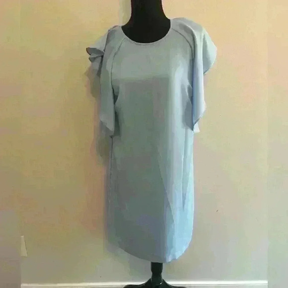 BCBG Maxazria Ice Blue Flutter Sleeve Shift Dress Size XS - Picture 1 of 8